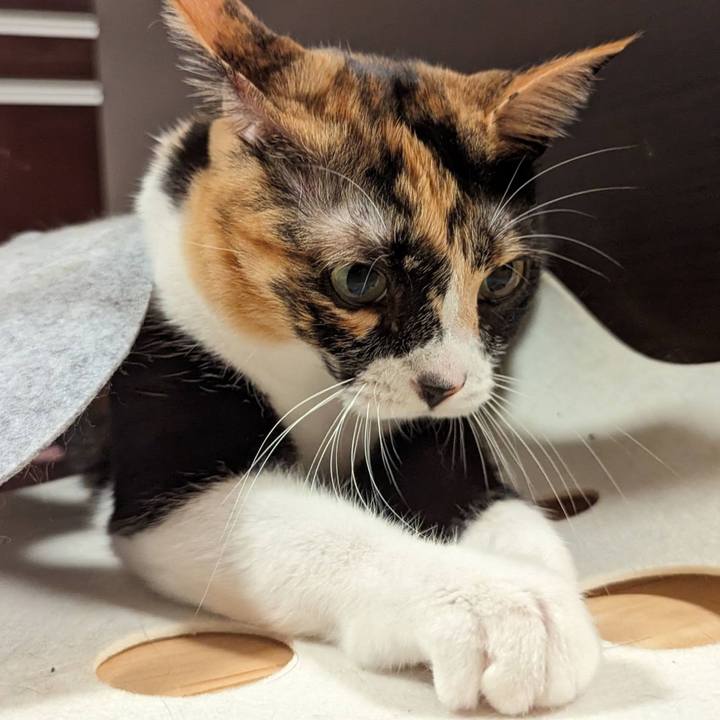 F1fb3522 034b 4d09 b8c9 30a3427bfabd 1696304258990