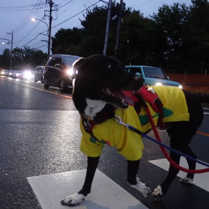 F1fb4fef 1722 40ed 9285 3abc8668a191 1628851751762