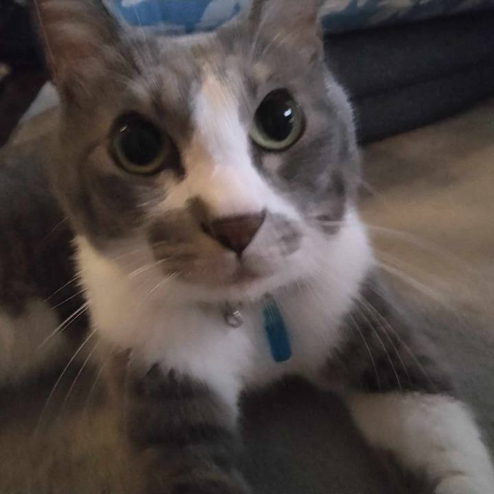 F1fbbb09 6dc4 4f33 9153 edcbf902a74a 1693991507057