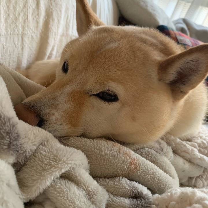 F1fbc09c e3f3 450b 9547 818edf0fbfe3 1642467280910