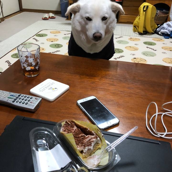 F1fbcf43 c644 4b05 8d0d bea5b1d61b2e 1587686179061