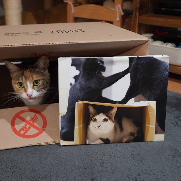 F1fc0822 097b 4d04 8e95 ec05d84a7573 1614948788717