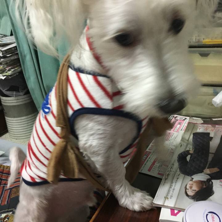 F1fc1e16 b894 44d4 9bbc 6e96d8f2181c 1509457339556