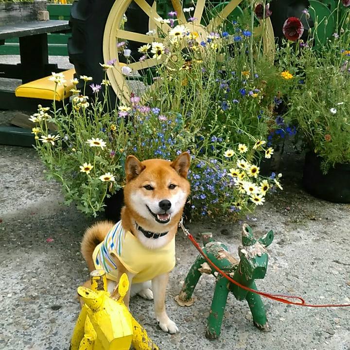 F1fc2780 8eed 4f67 a903 0cfc1eb09337 1562499524661