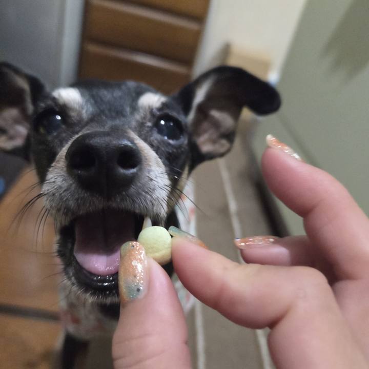 F1fc446f 122a 4ecb b073 d1861ce5e075 1754509200323