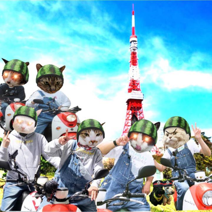 F1fc6ba4 6d93 4af9 9c02 dff64759cd38 1563149612253