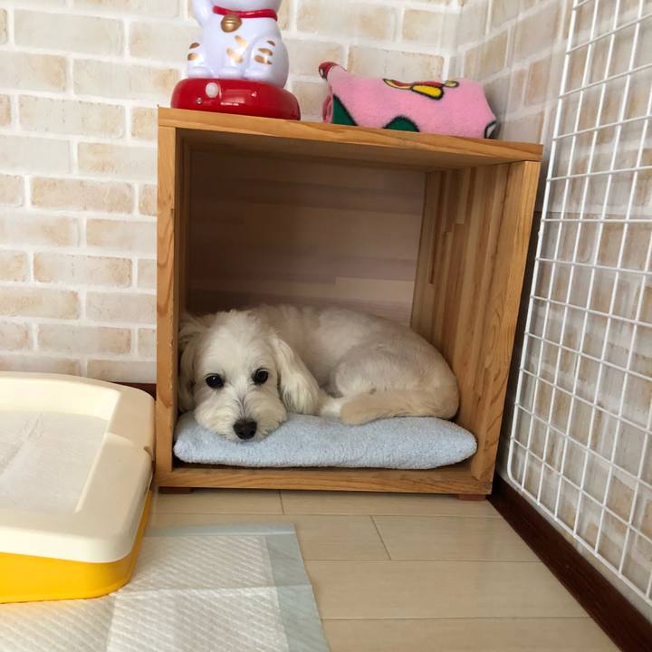 F1fc83ea f4d2 4c30 9601 1ef26c47b675 1531776456307