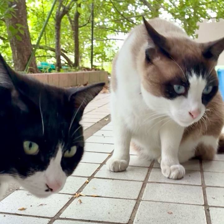 F1fc9b0f c5b0 45ae 8121 bb200de50f08 1747275131967