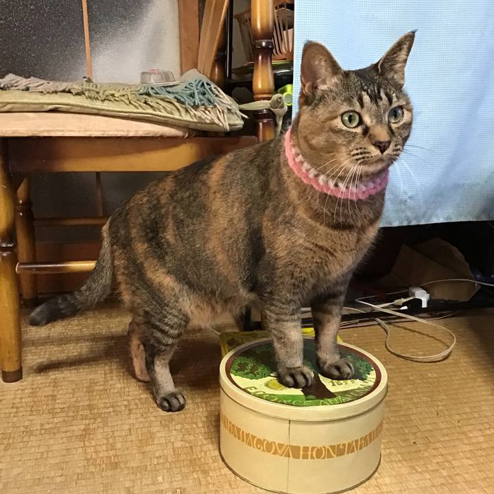 F1fc9b6e 9994 491d 9015 634df3c0e46c 1744624076320