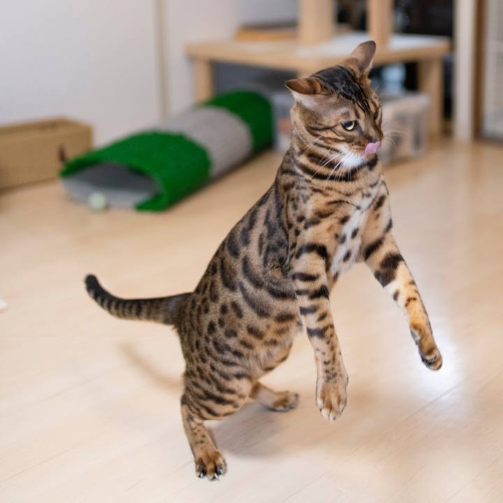 F1fccfaa f740 480f 9753 359c5f64f154 1535296140131