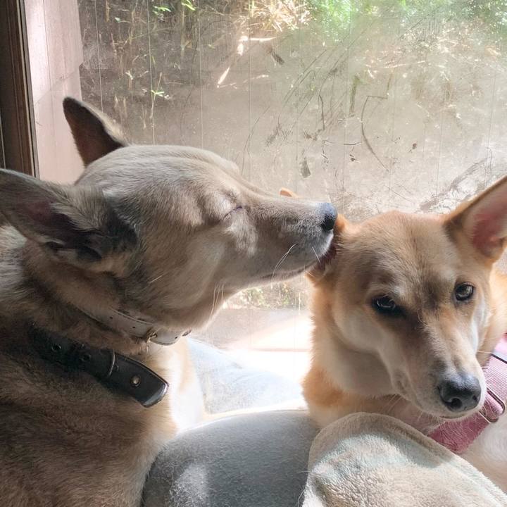 F1fcf1ec 5a8a 49b6 9c84 bf3ecfe6a297 1632616404591