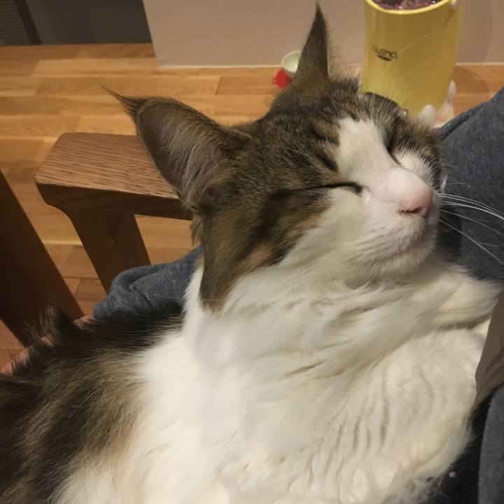 F1fd06a7 f328 4316 b88c 274a6b529e89 1541417008783