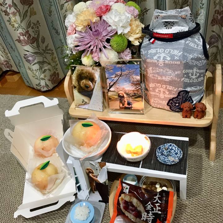 F1fd7173 3144 42ae b37f e0fbf77b63e4 1534684375047