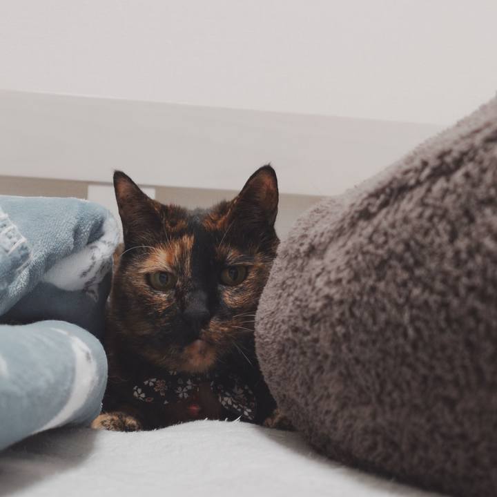 F1fd893e 00bb 448c b5ac dce0de2280f8 1743342073071