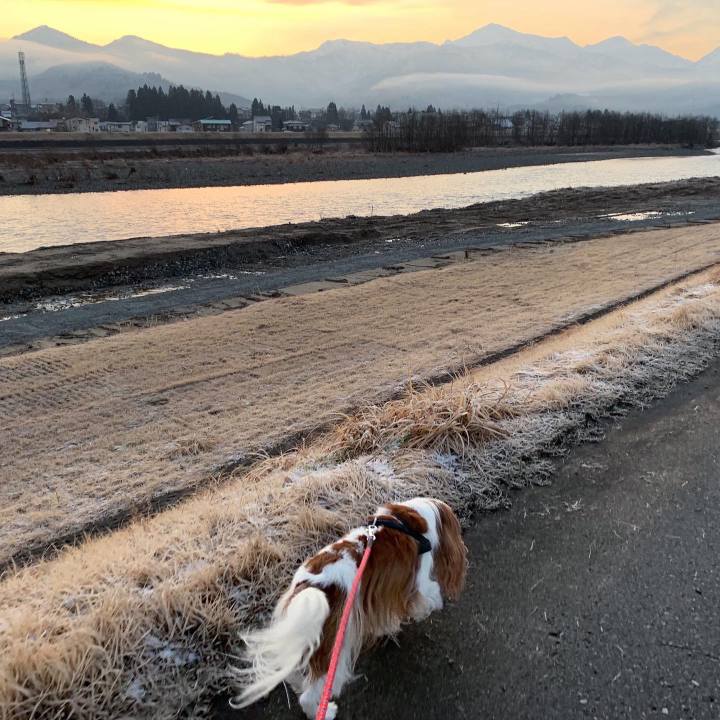 F1fdb32e c78c 4a8a 8f02 b424b1dc72e6 1579646402350