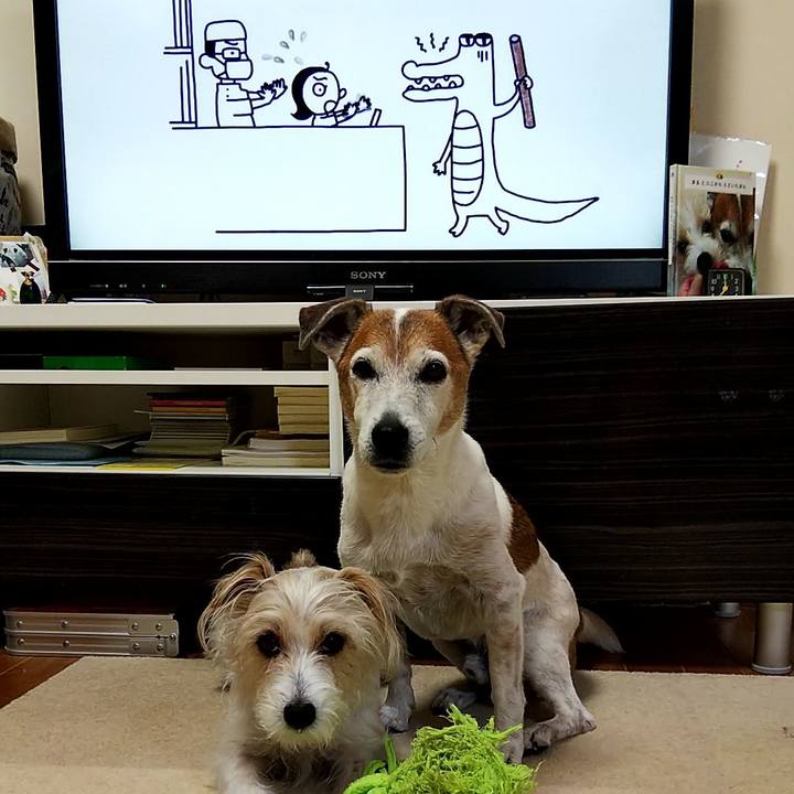 F1fdc8fe f005 4c21 935f 14093e06a4d9 1559599453733