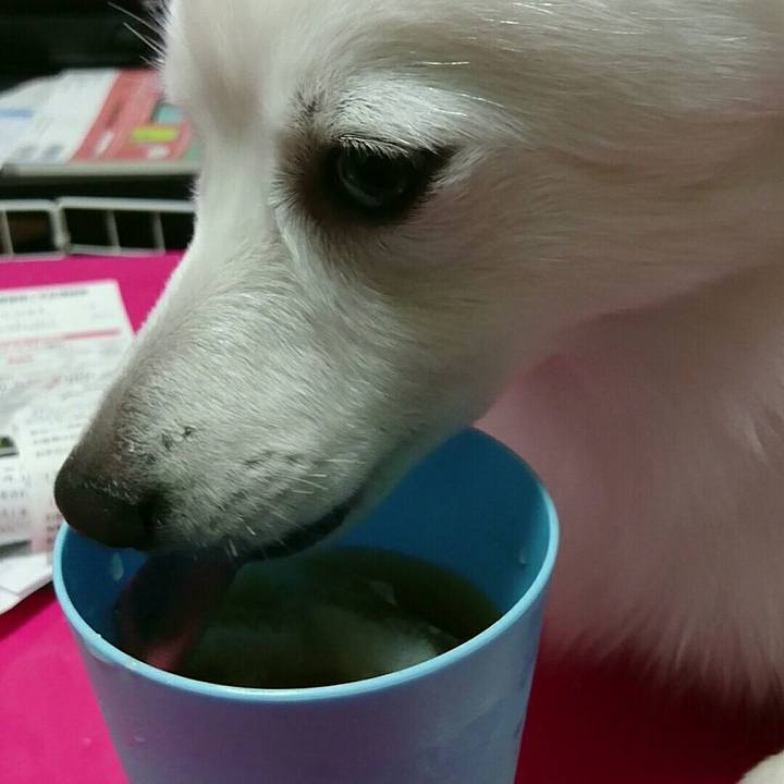 F1fdda4d 495f 492e 9c48 29e0b82d2cda 1508316686796