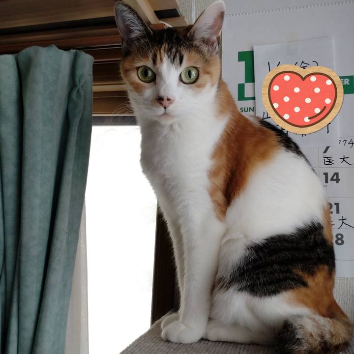 F1fe29b2 3818 4c93 ab6f d1a2bedd178a 1640838536033