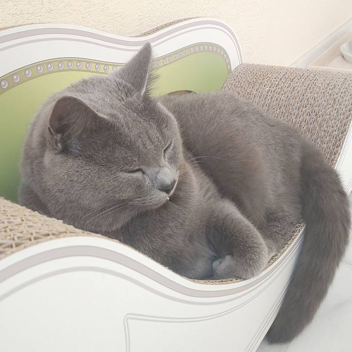 F1fe3423 087a 4815 8965 b243bcf6c7ea 1539564806370