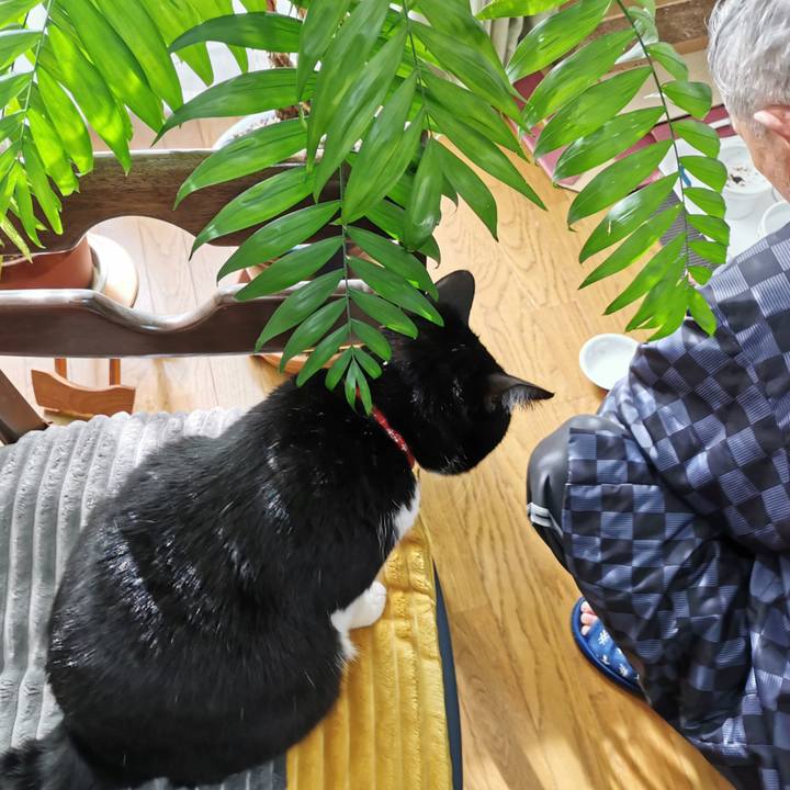 F1fe48e8 d7d0 4479 9493 b2723fd4dd58 1670818641716