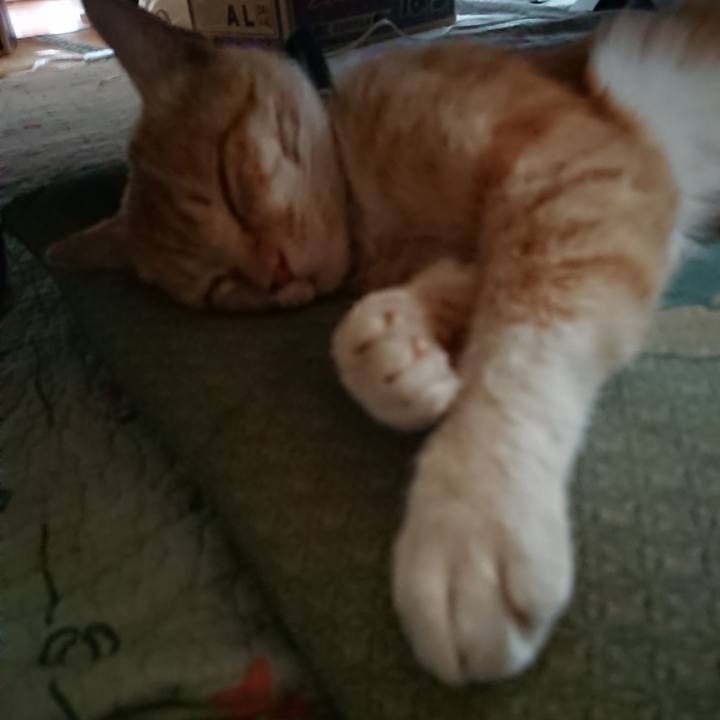 F1fe4b8a af16 456e af08 762ac84afab3 1558267907309