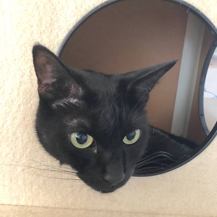 F1fe6852 9c5e 4b2b ba96 558023ec06ed 1536286154890