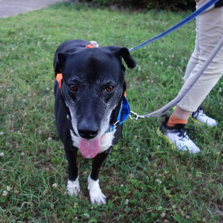 F1fe7618 49de 447d 9080 1f0c0c74d3d9 1753613965219