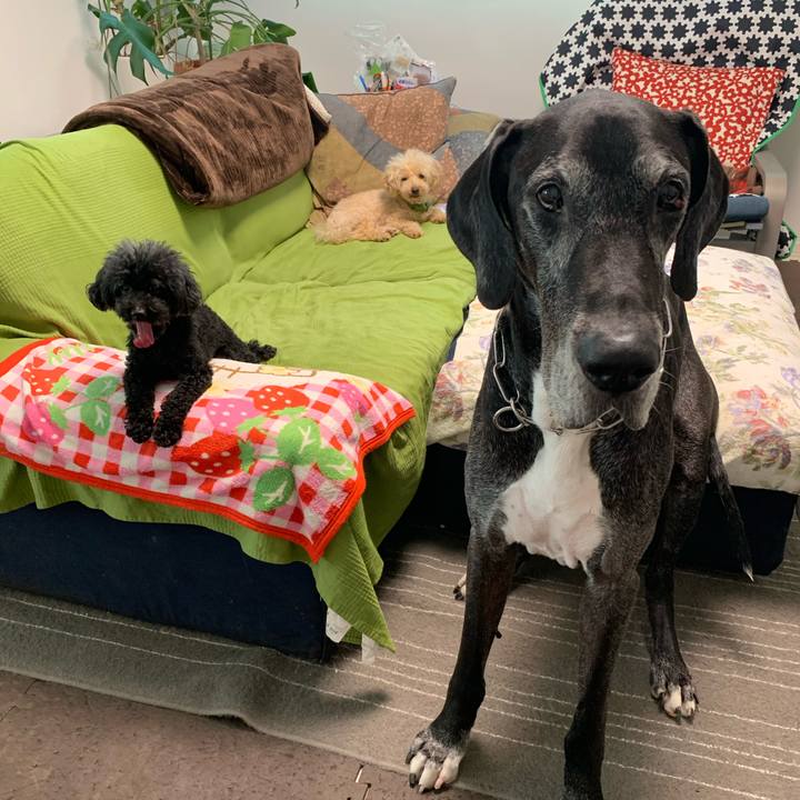 F1fe9665 fd45 4c43 a15e 0a3ad28d487d 1592952804014