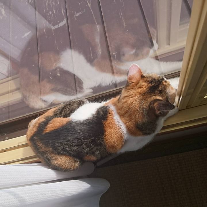 F1fea1a9 27c9 4441 8a8a 319172d0318a 1623798324728