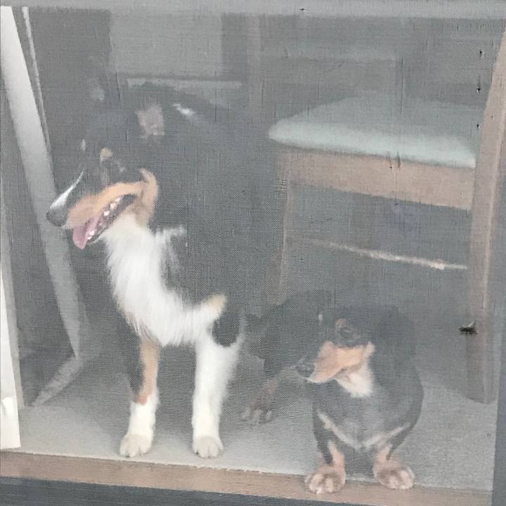 F1fec728 afe4 4bff b9fb dcb9caed9e95 1532295826683