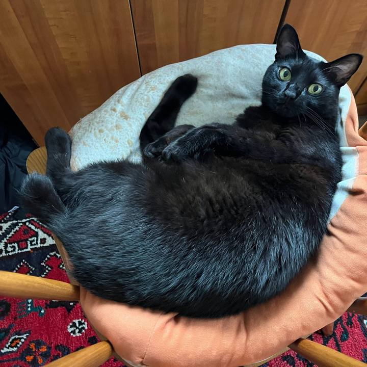 F1feda31 6f48 400f b2d4 f5d21c51a58e 1728178320270