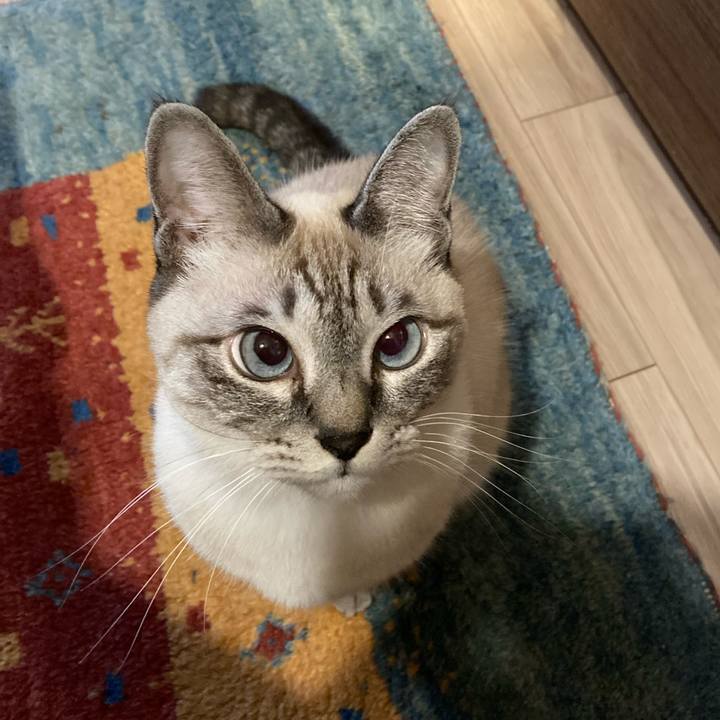 F1fedd00 98cc 43fd 969b 3dd42a8ae34a 1637324432641