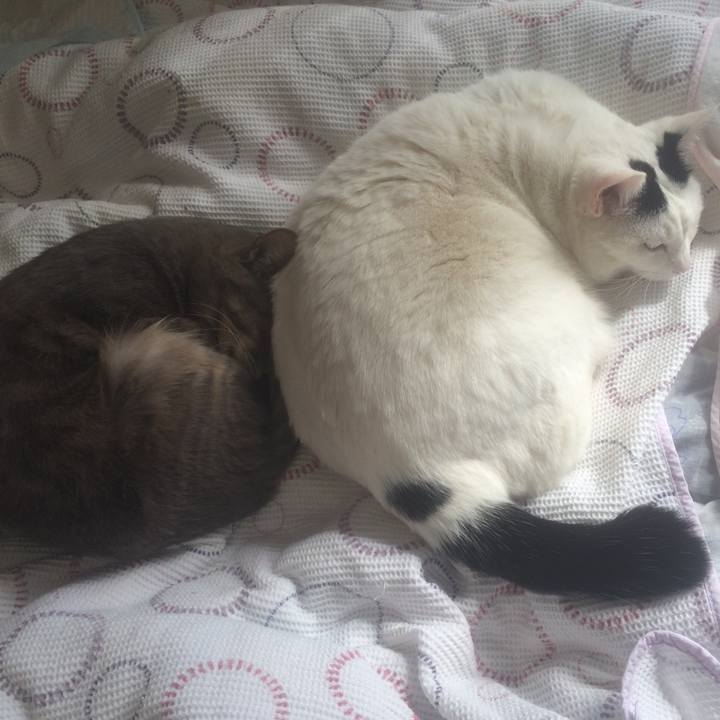 F1fee31c 556d 43f7 8a0f f595f2cf268d 1551413314193