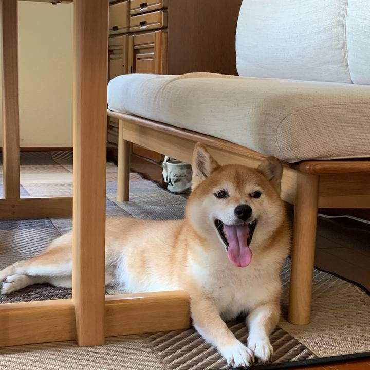 F1feee12 b0c9 446d a6bd e6bf6c81c3ae 1595044694140