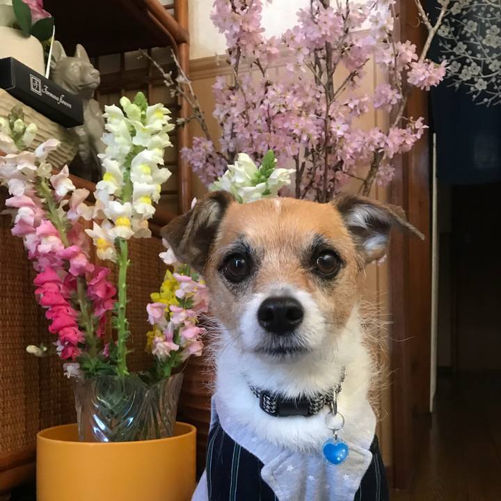 F1ff00cd c9b2 42e6 aaf2 500fd526e7d4 1521247917345