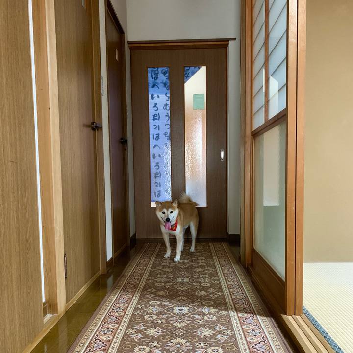 F1ff117e dd82 4f38 95fa 136b8b44562e 1624783680688