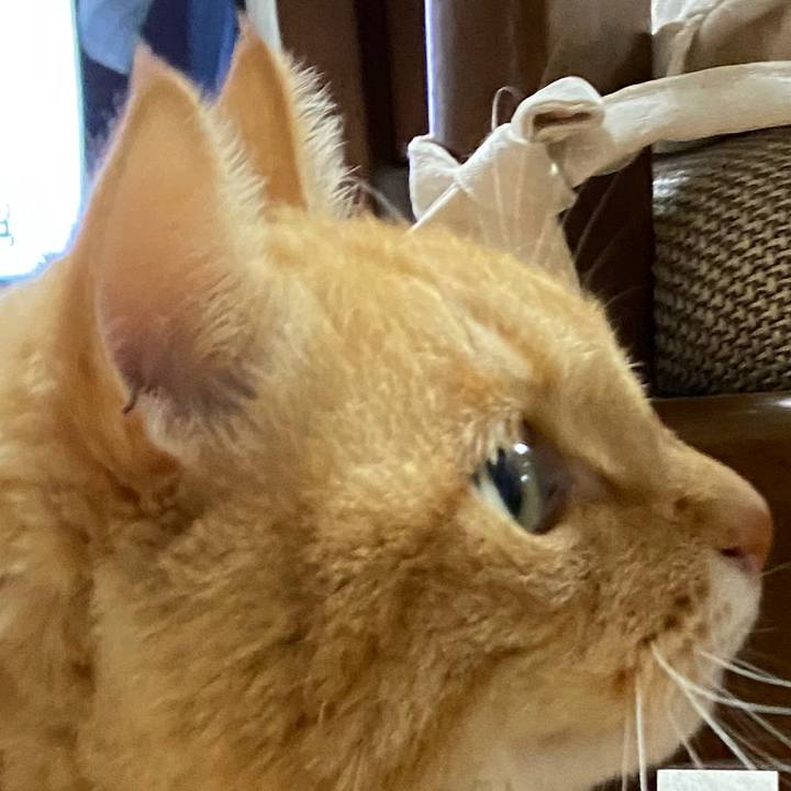 F1ff167b 12c9 4afb a7b7 fd423eb5466b 1618018102776