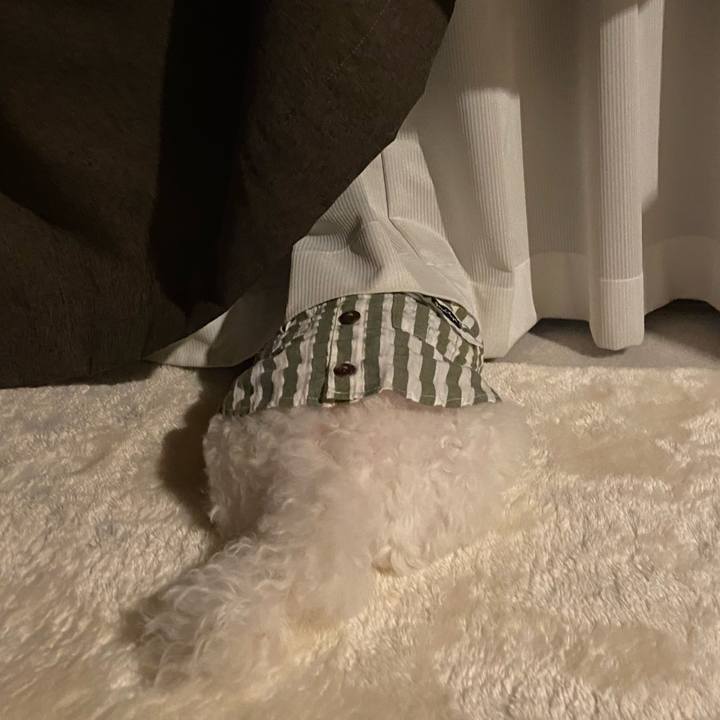 F1ff1f6d ae9d 4b38 a2fd 0fc9de21f097 1716291197722