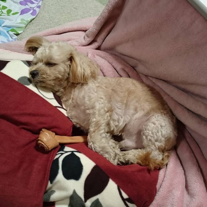 F1ff571e 0503 4575 8f0f 0dd999246194 1541859580543