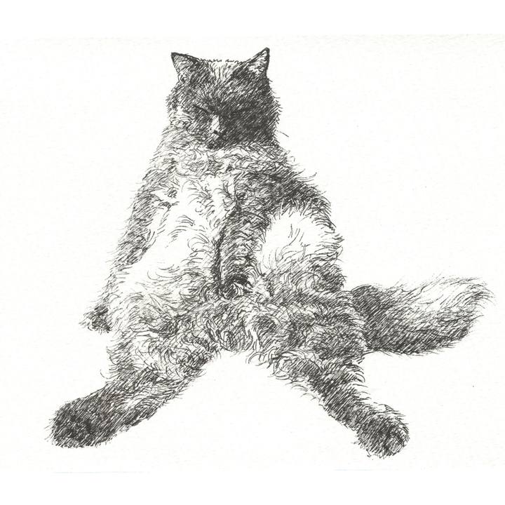 F1ff57f5 57cc 4d50 b9a4 13ce6a3318f1 1565012744403