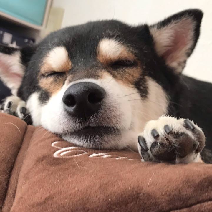 F1ff8beb 09ef 4213 ae42 ecf05d84a2bc 1647143866389