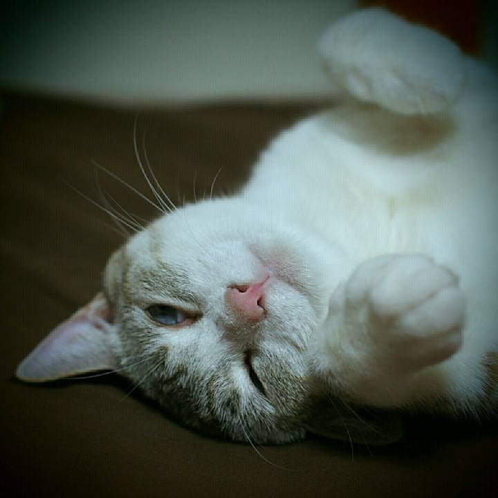 F1ffb976 4ca5 4690 b5cf c2e2ece164e1 1534686823304