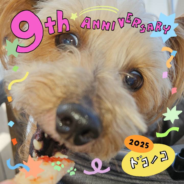 F1ffdb33 8285 4d60 b186 7d49b68157a6 1749192270285