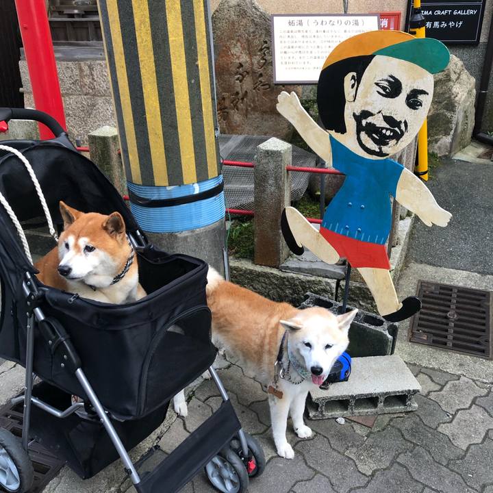 F1ffdb67 0675 4d06 826b 17b97ddfdb1e 1569883812308