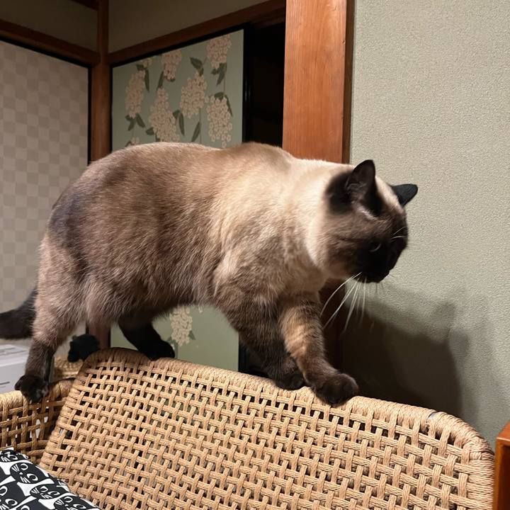 F1ffef2c e058 4495 8534 e4f764a92111 1645095335344