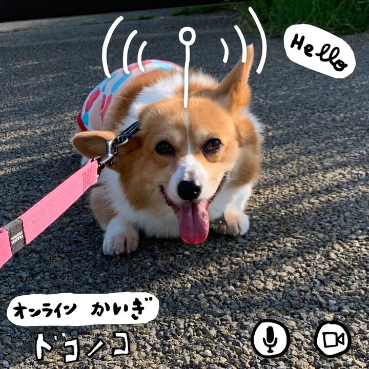 F20033aa a2b0 473b bc89 5b9fa871174e 1590792113558