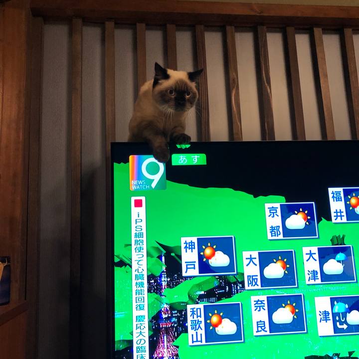 F2003504 6f66 4c5f 9180 ba078e99964d 1598532513092