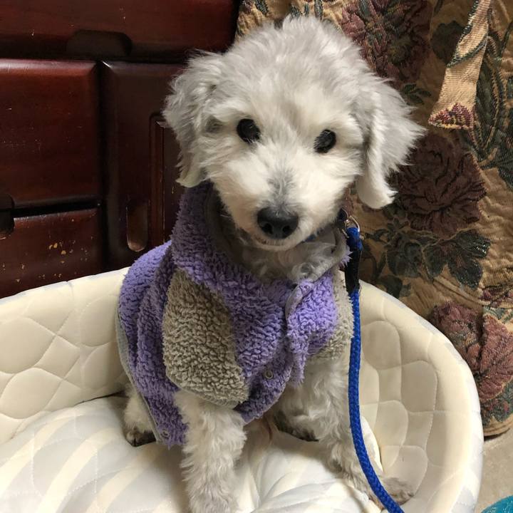 F200c39c 6e2a 4d4d 8b3a a30d21584b06 1642032408381