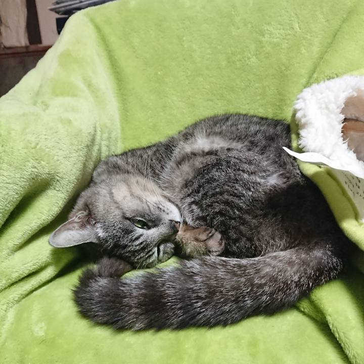 F2010dfd a963 4852 9e0b ea85af6f4696 1588974076671