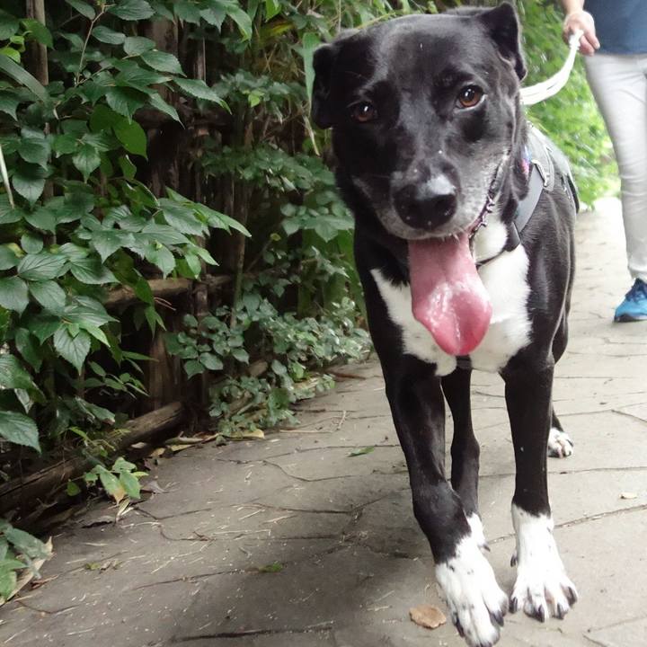 F20111c2 0a8d 49a0 8c9d 668843b9abb3 1658102416947